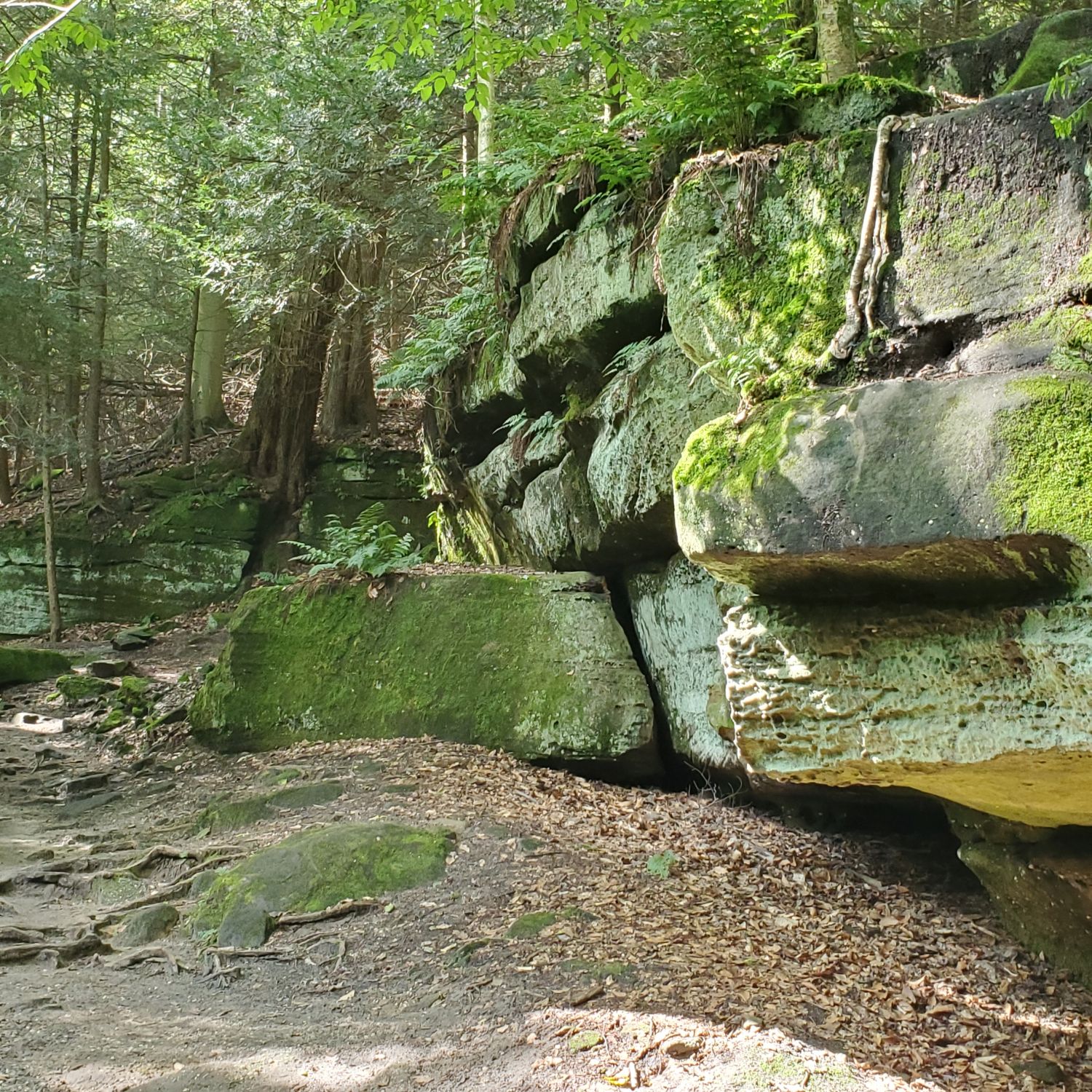 Ledges and Pine Grove Trails 